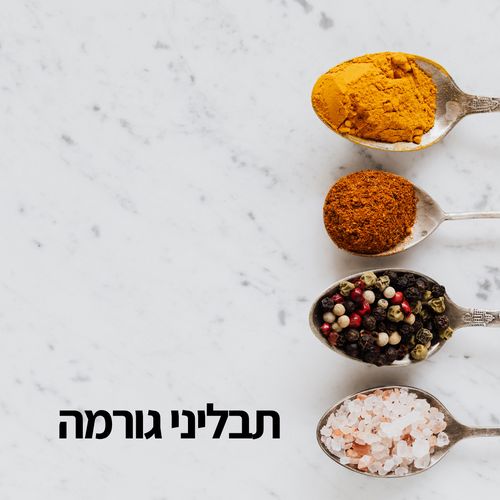 תבליני גורמה
